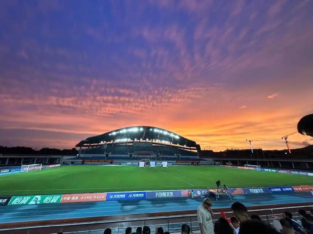 雨燕直播足球免费